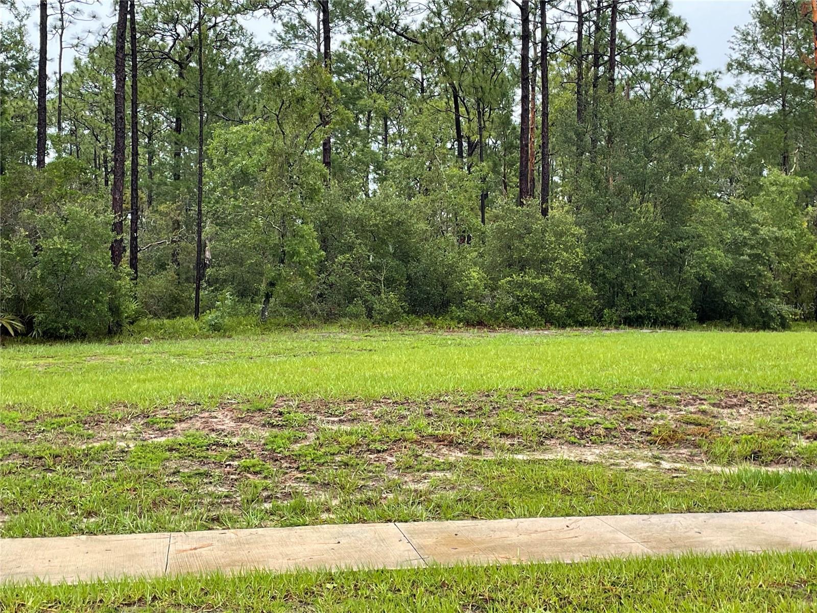 Image 4 of 8 For Virginia (paper) Avenue