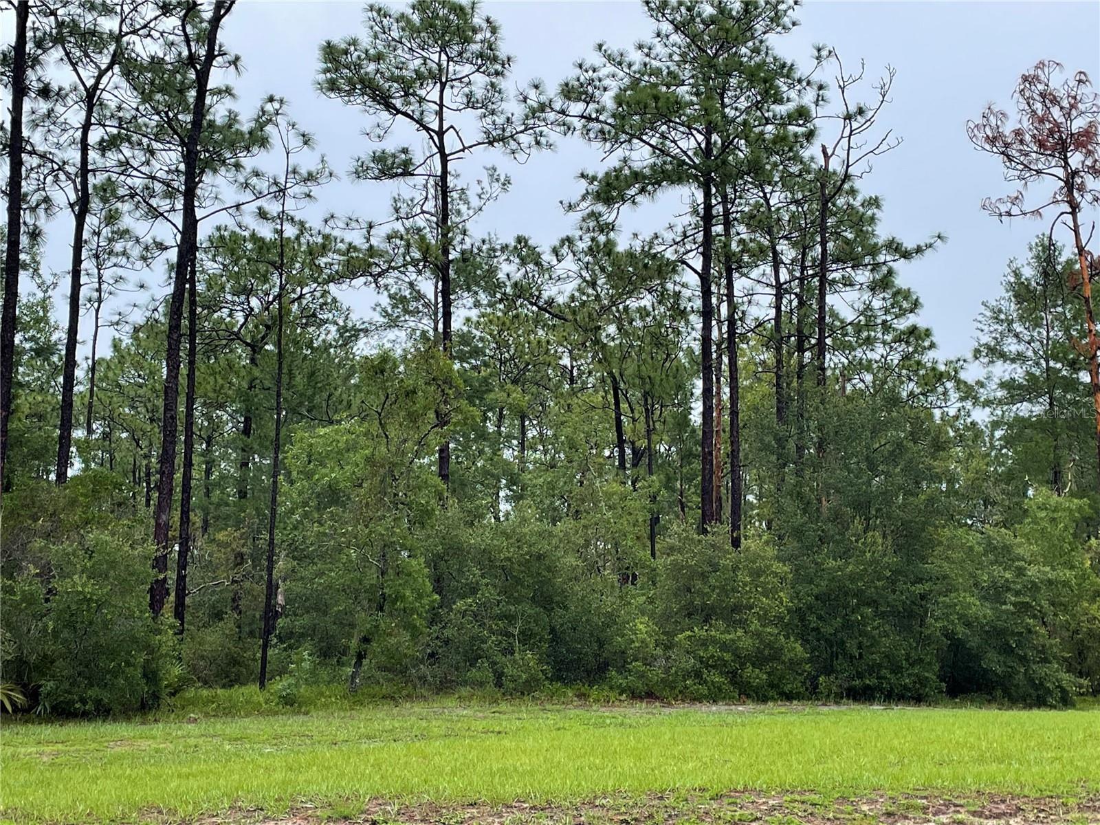 Image 5 of 8 For Virginia (paper) Avenue