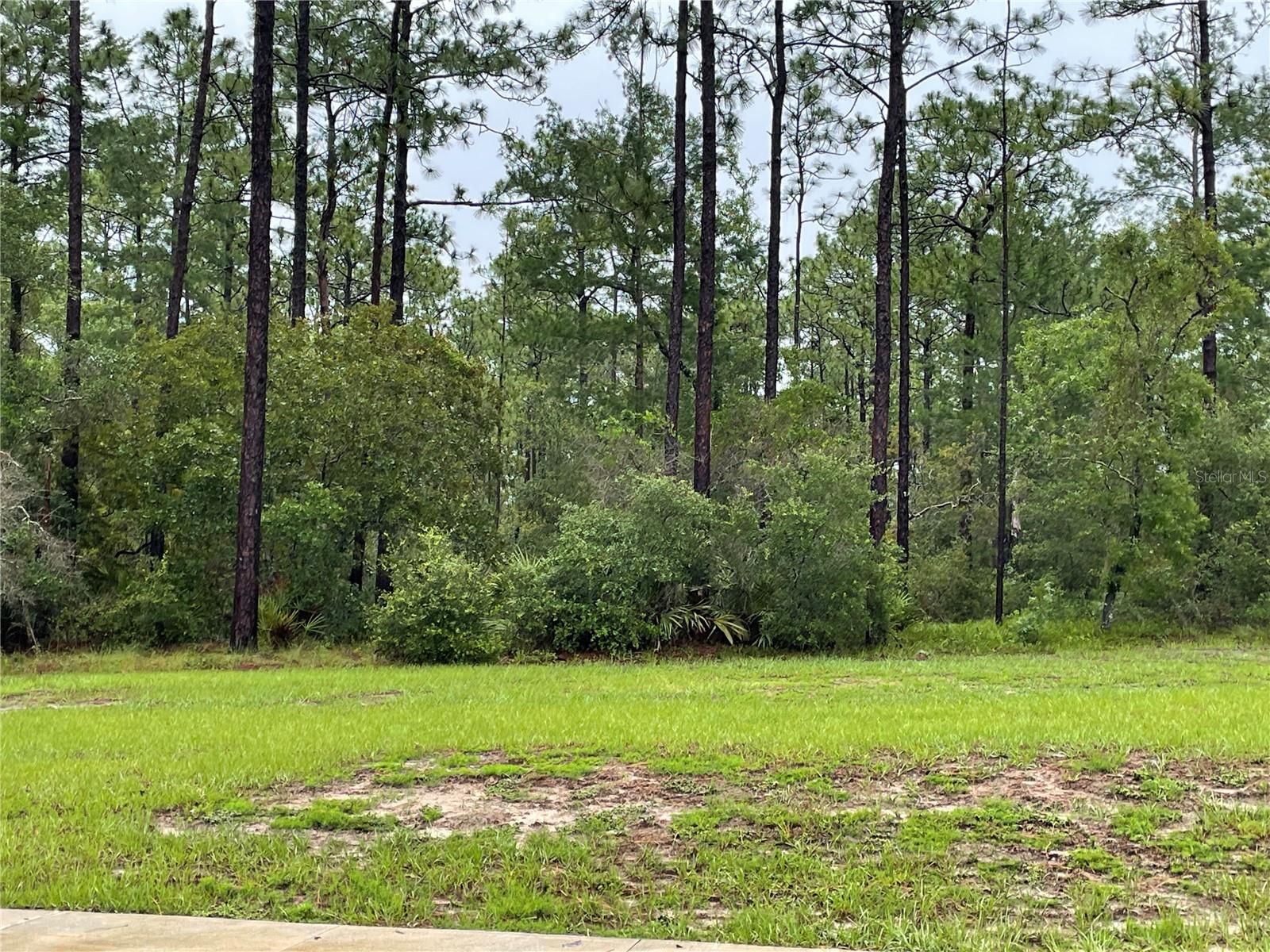 Image 6 of 8 For Virginia (paper) Avenue