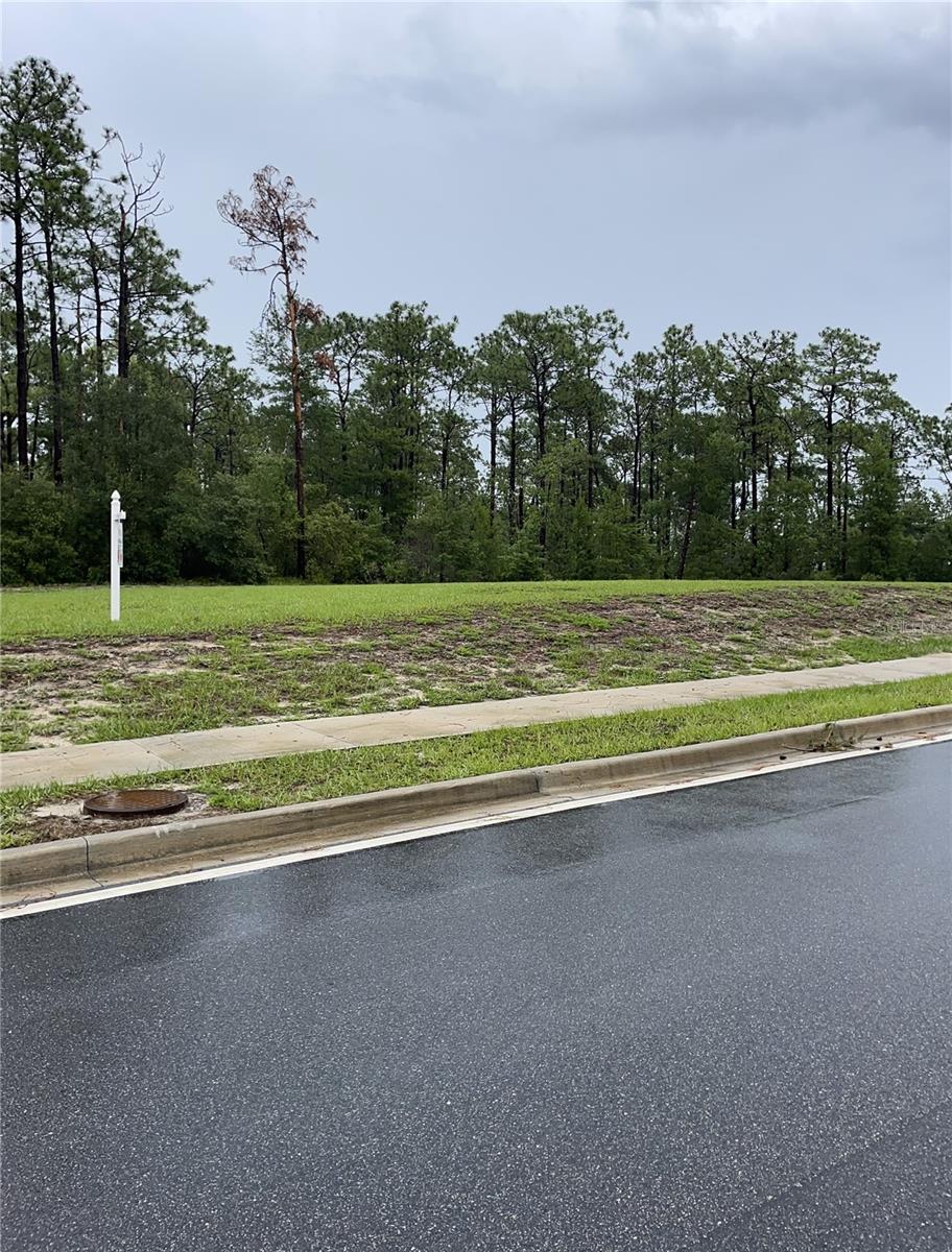 Image 7 of 8 For Virginia (paper) Avenue