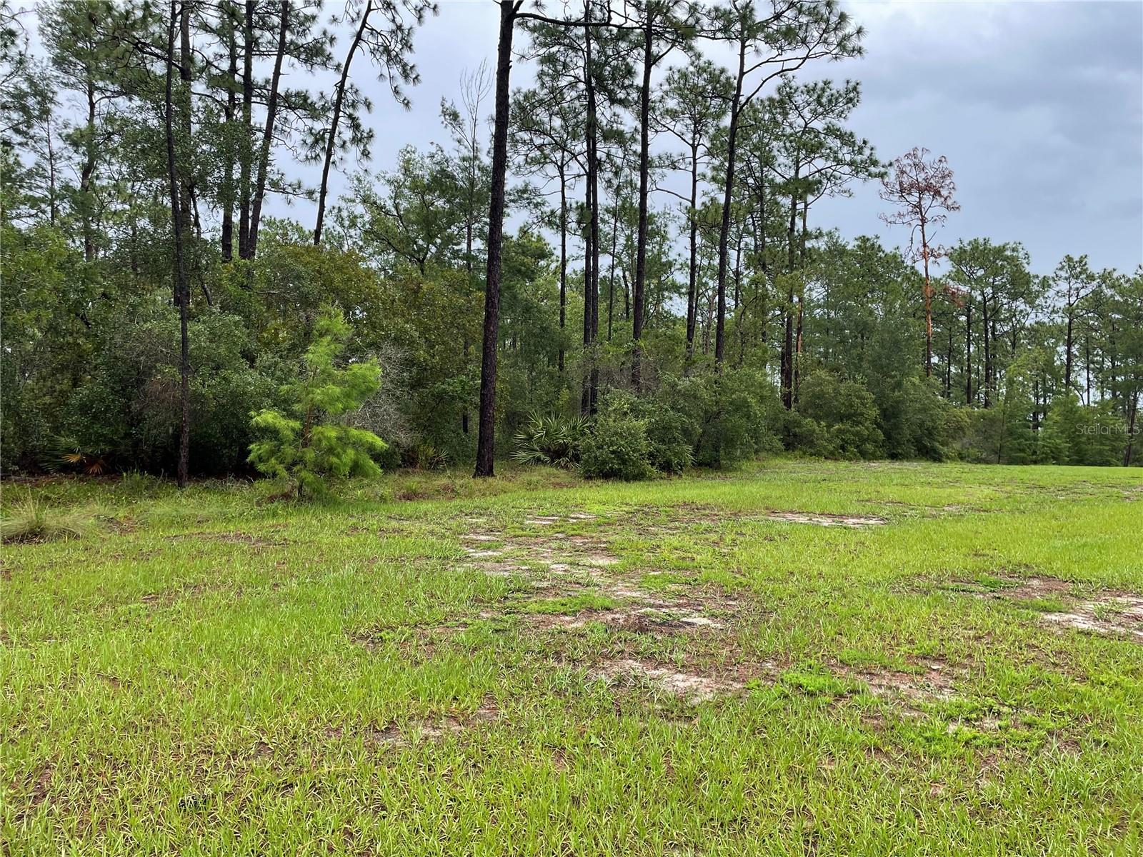 Image 8 of 8 For Virginia (paper) Avenue