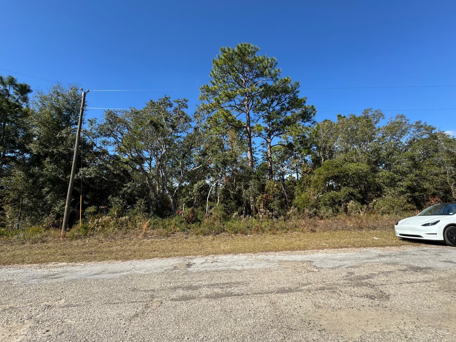 Listing photo id 0 for 9066 Burmany Way 6