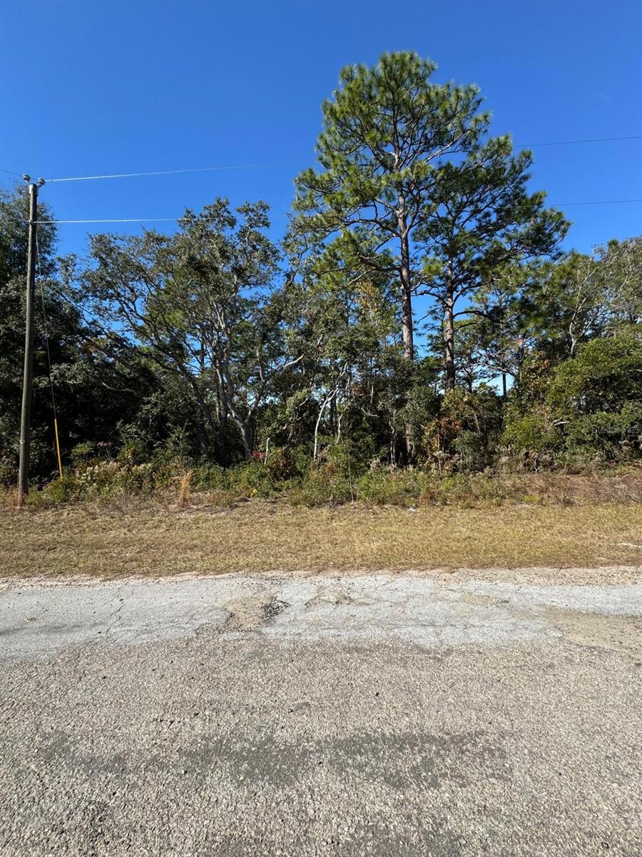 Listing photo id 1 for 9066 Burmany Way 6