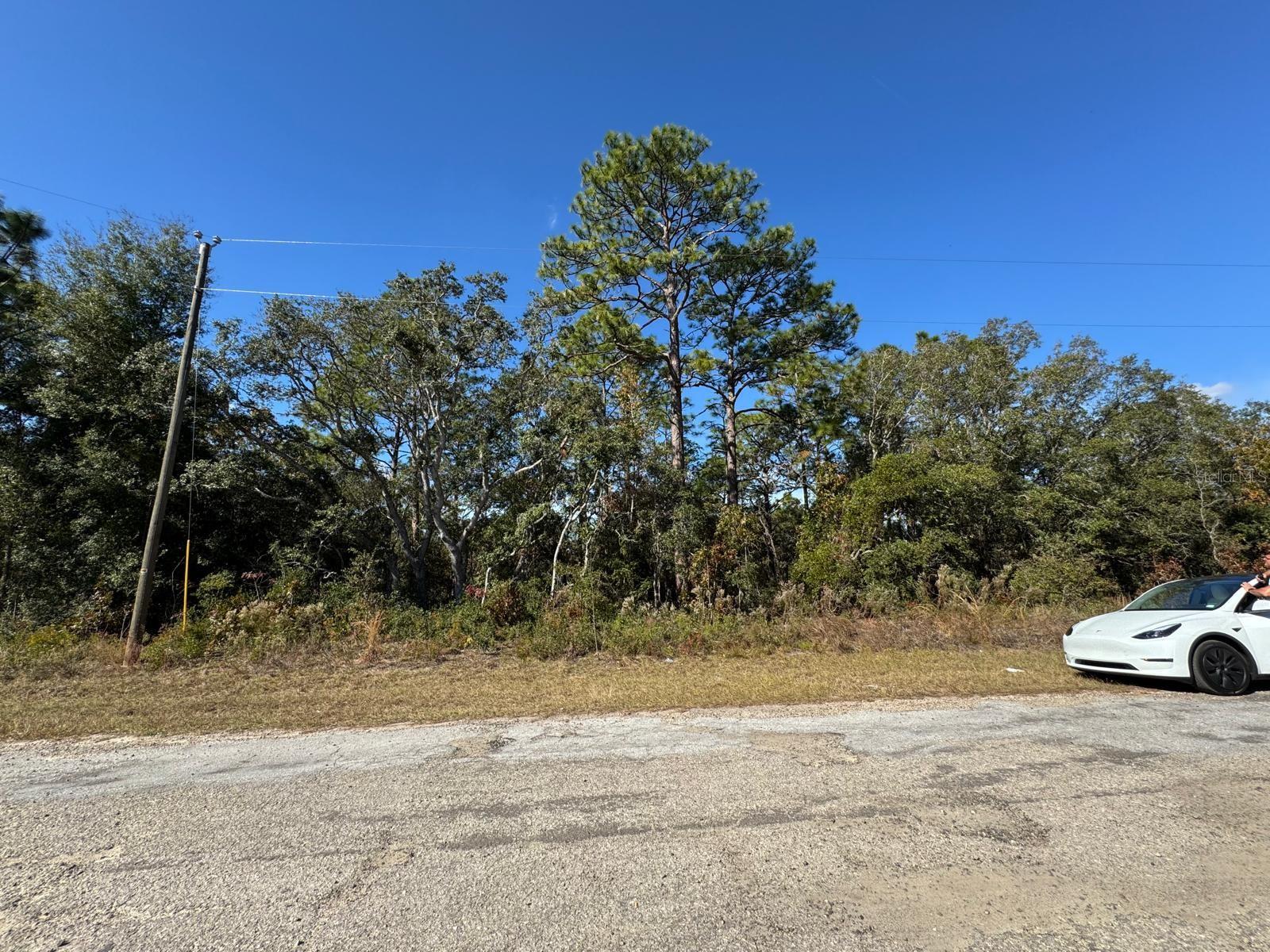 Listing photo id 2 for 9066 Burmany Way 6