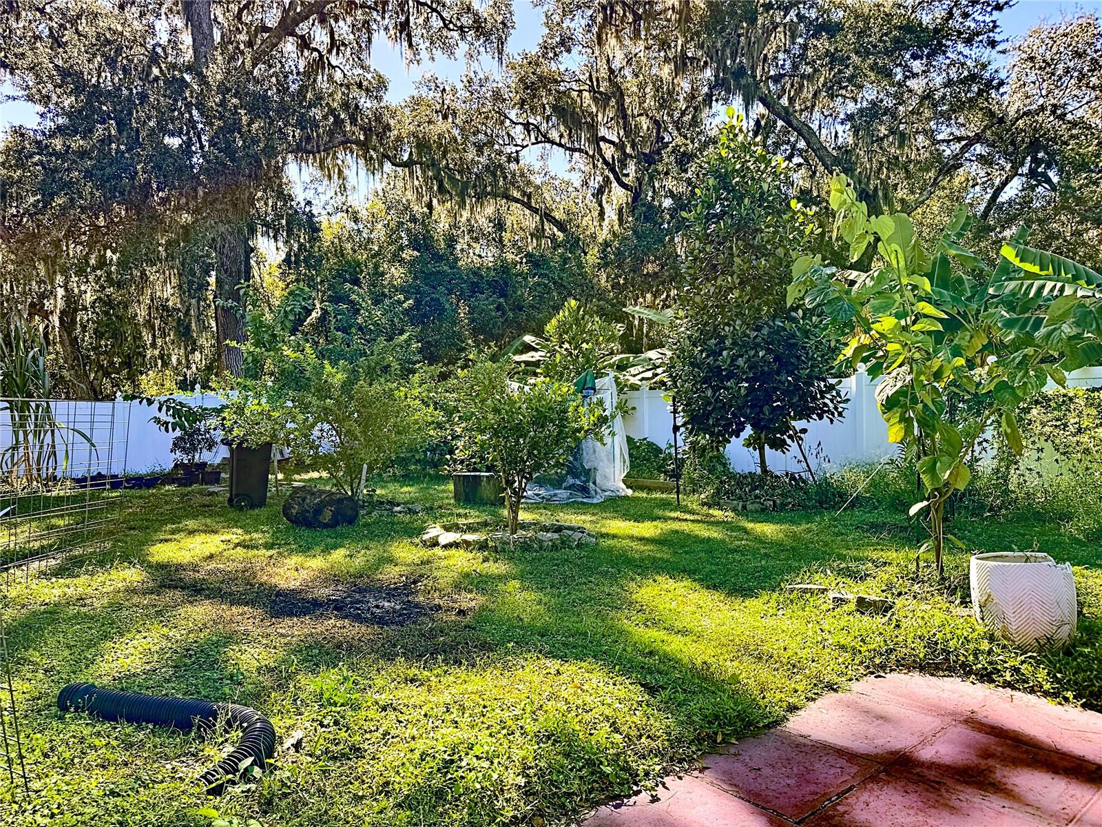 Image 57 of 72 For 3104 Conrad Court