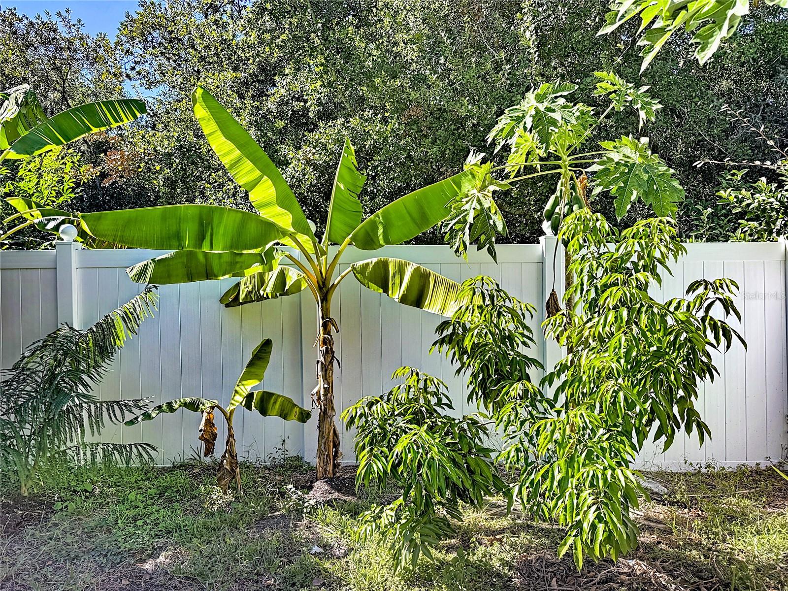 Image 58 of 72 For 3104 Conrad Court