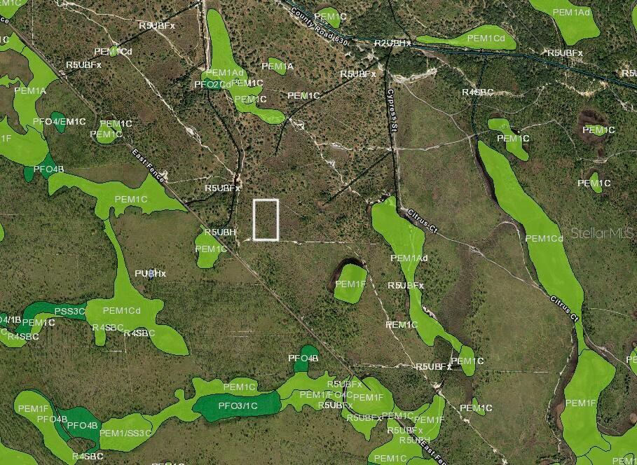 Image 3 of 3 For  Wanrong  