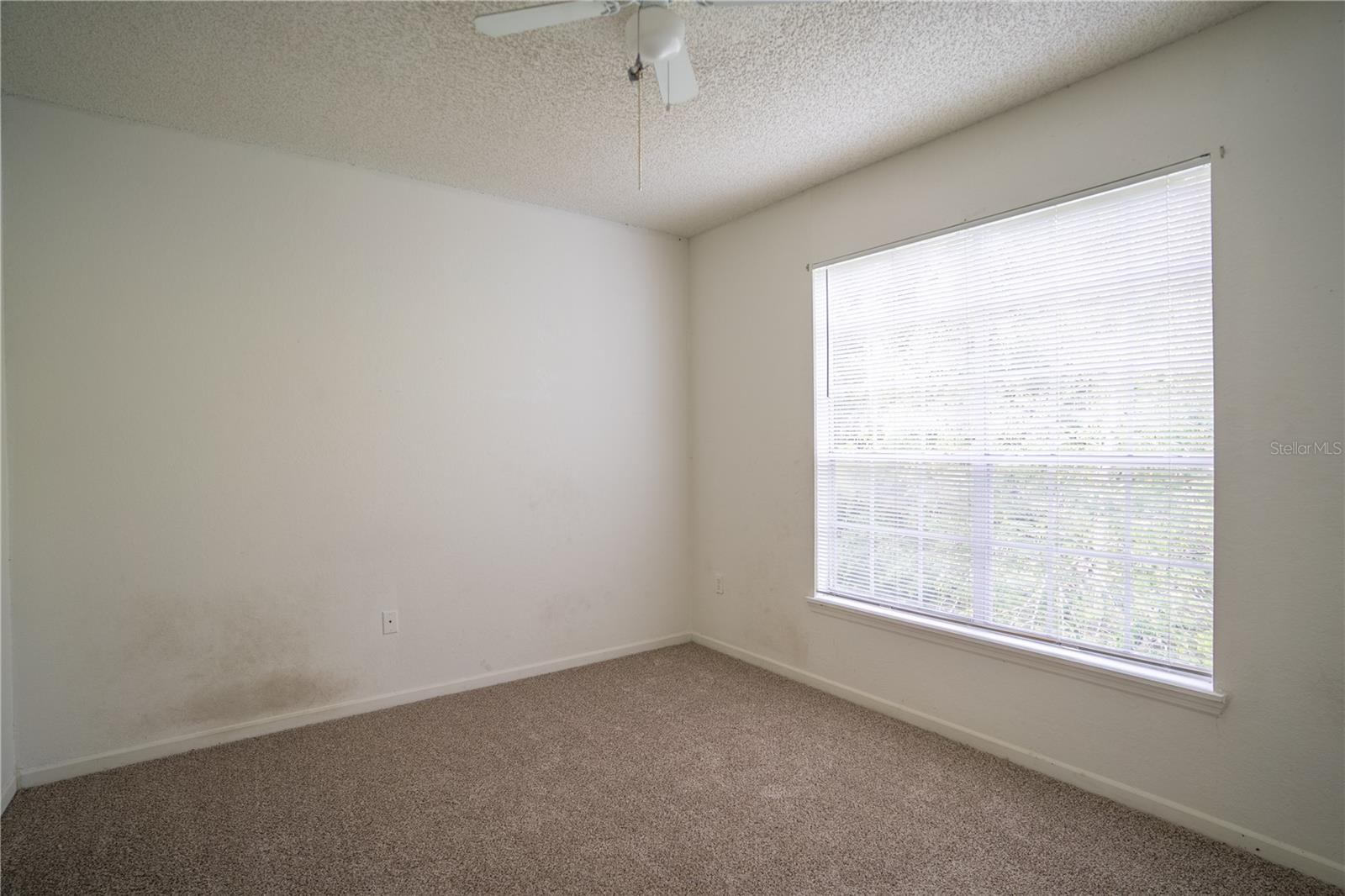 Image 17 of 22 For 13037 Mulberry Park Drive 5211