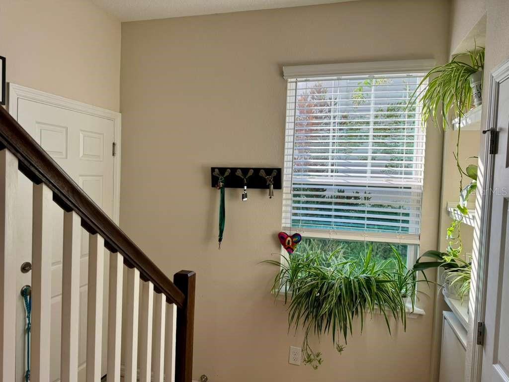 Image 10 of 27 For 13333 Gorgona Isle Drive