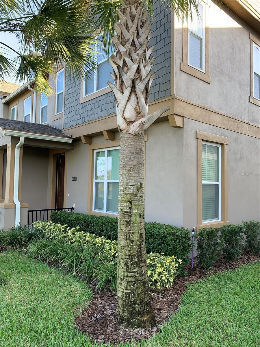 Image 5 of 8 For Address Not Provided