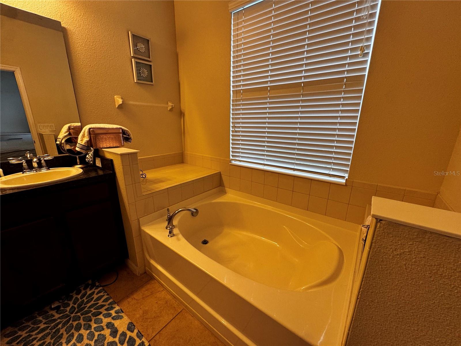 Image 17 of 28 For 4976 Millennia Green Drive