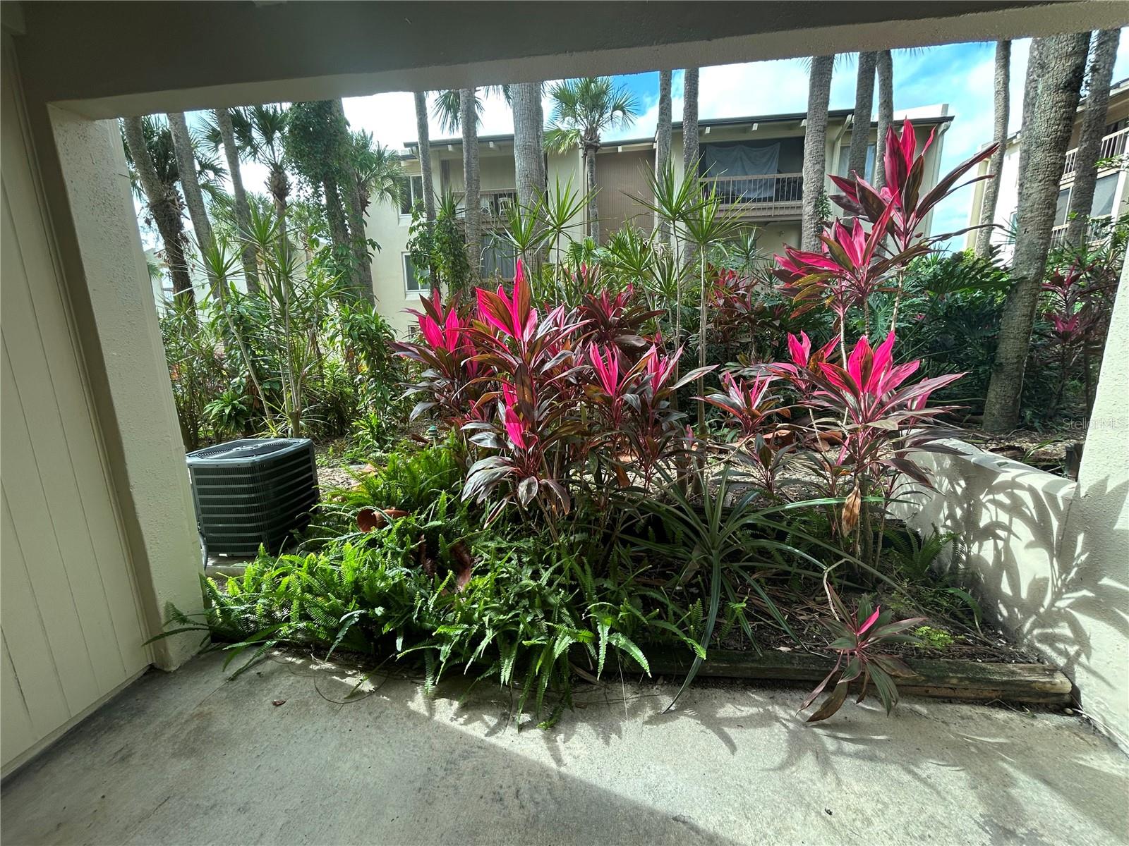 Image 14 of 14 For 608 Orange Drive 181