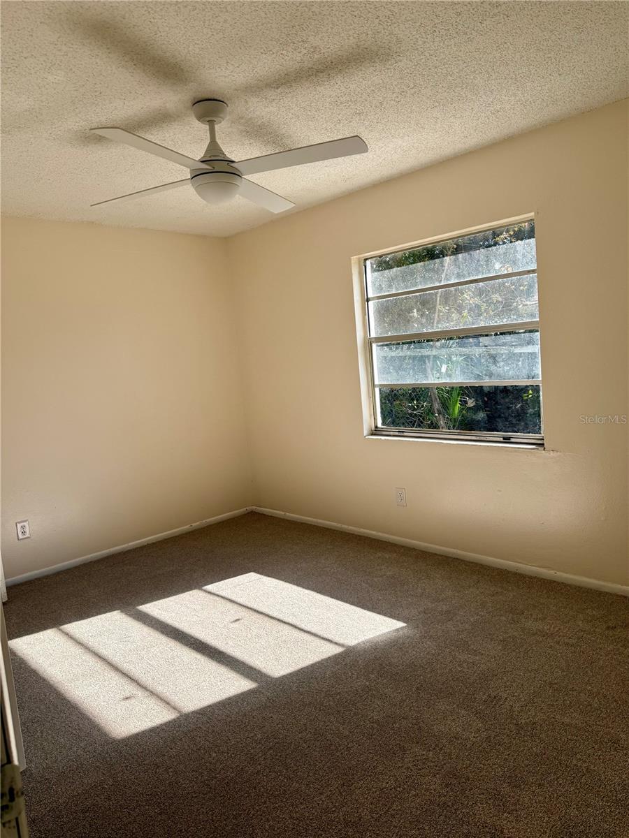 Image 10 of 22 For 344 Martin Street