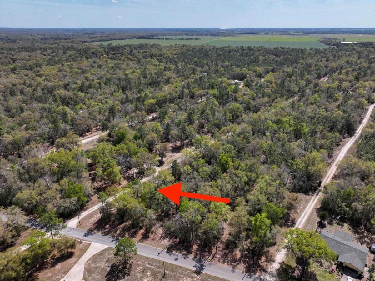 Image 10 of 17 For  154 Terrace 