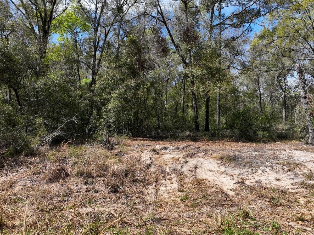 Image 13 of 17 For  154 Terrace 