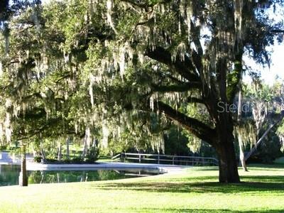 Image 27 of 33 For 205 Fairway Drive 205