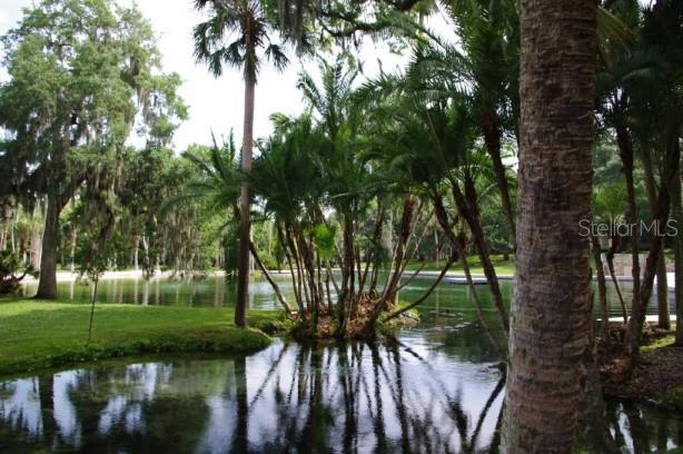 Image 29 of 33 For 205 Fairway Drive 205