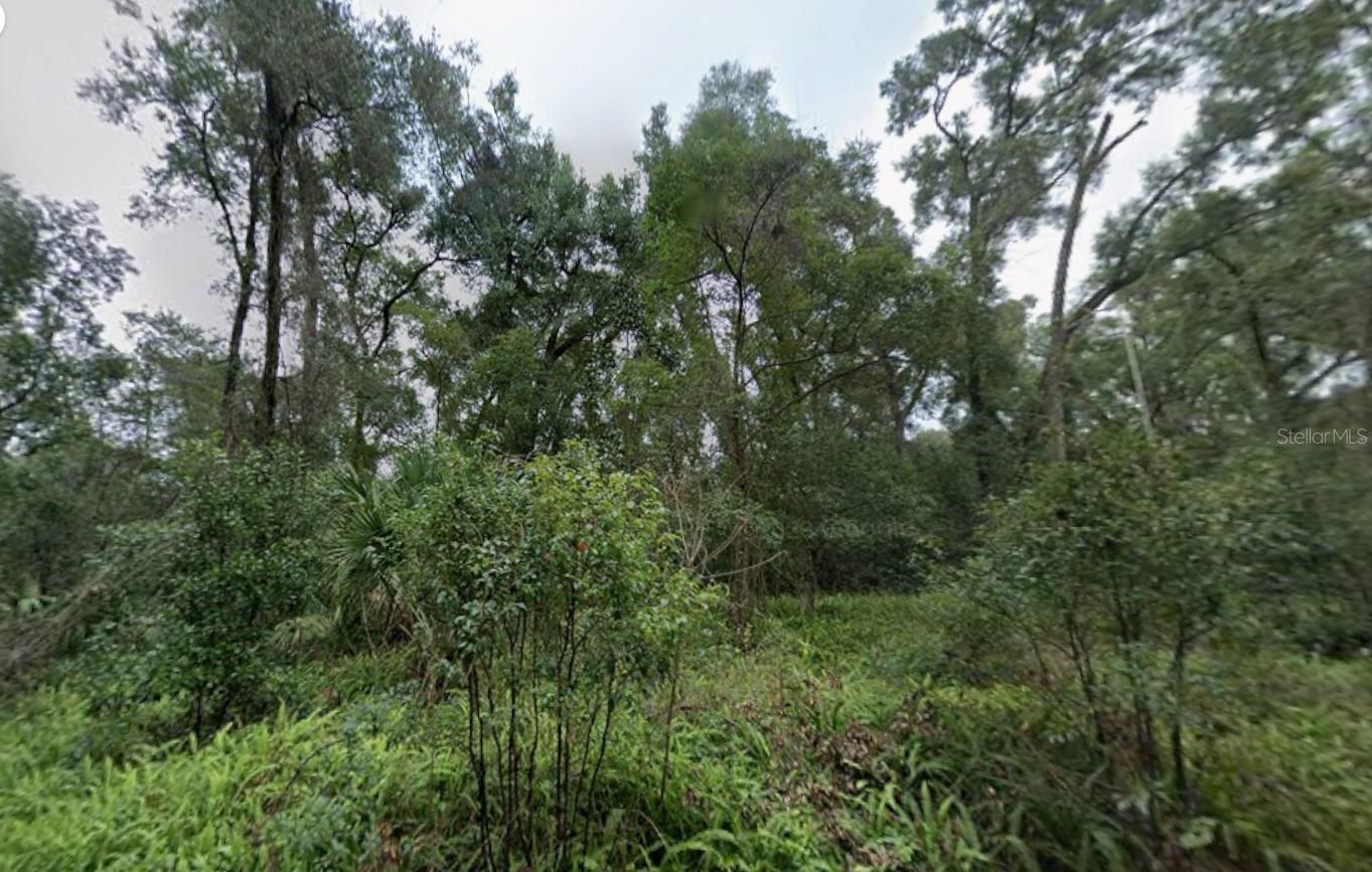 Image 4 of 14 For 000 W Euclid Avenue