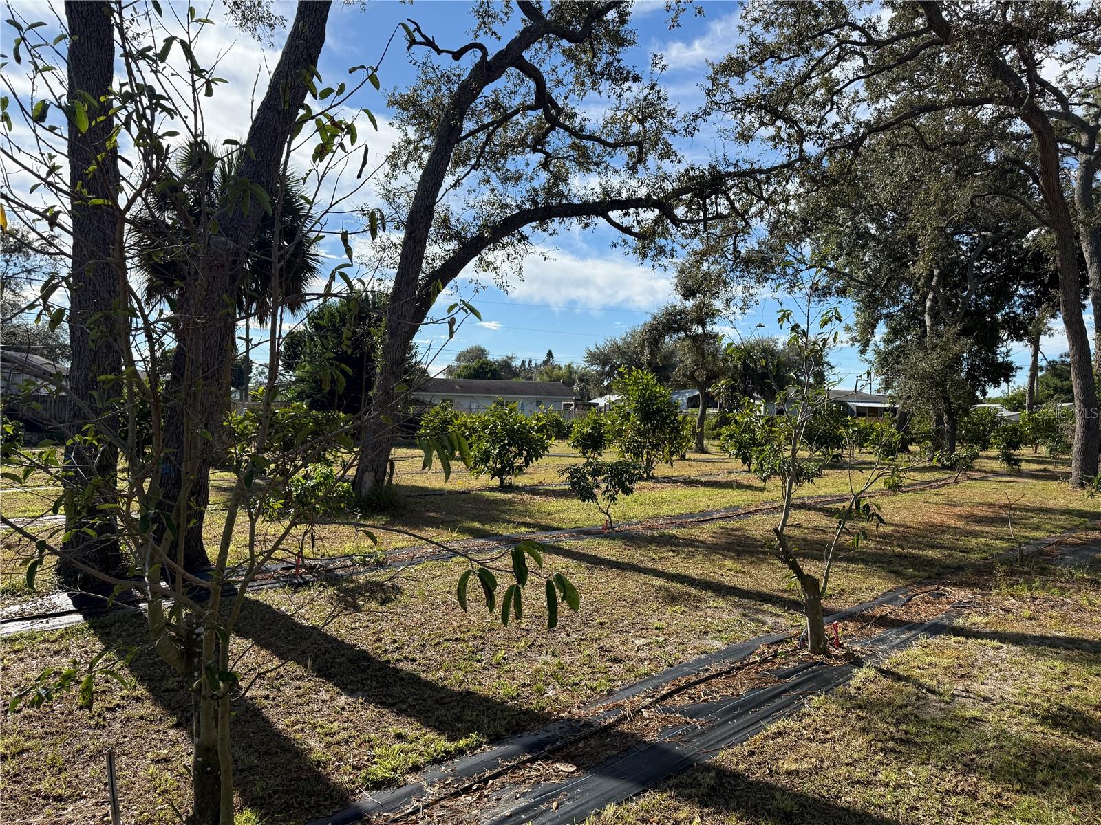 Image 41 of 62 For 4104 Us Highway 1