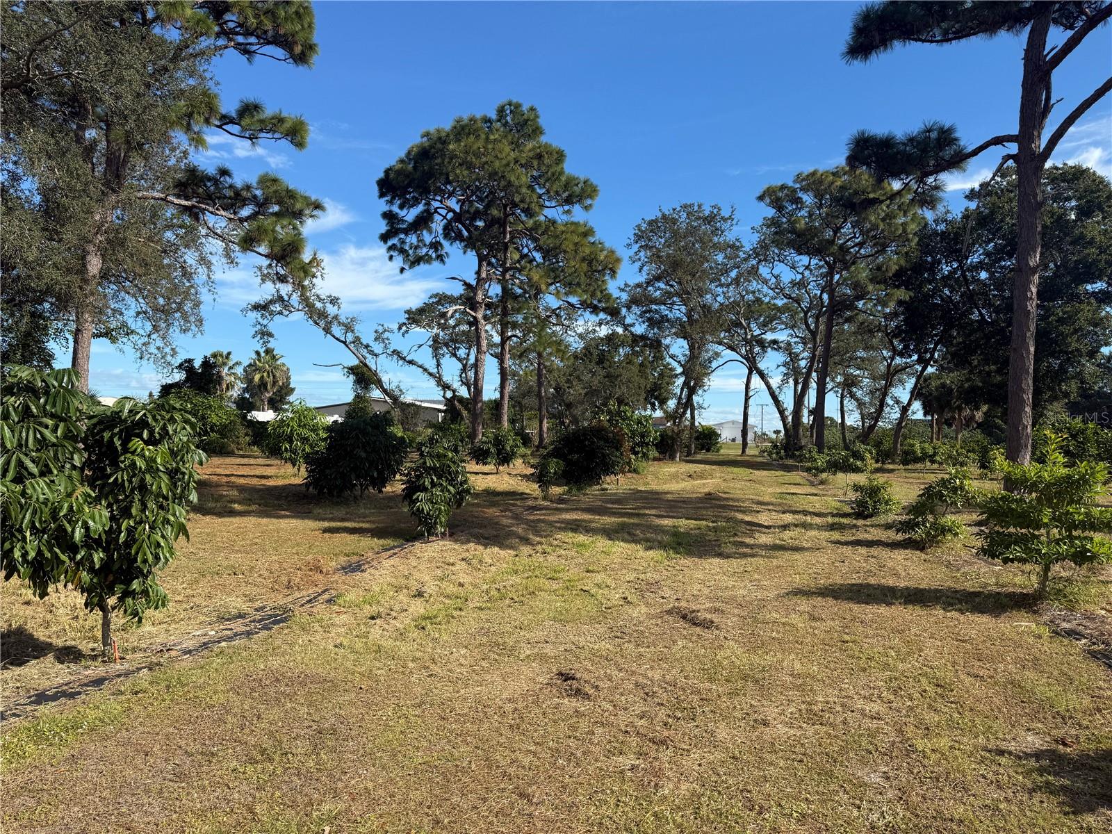 Image 60 of 62 For 4104 Us Highway 1