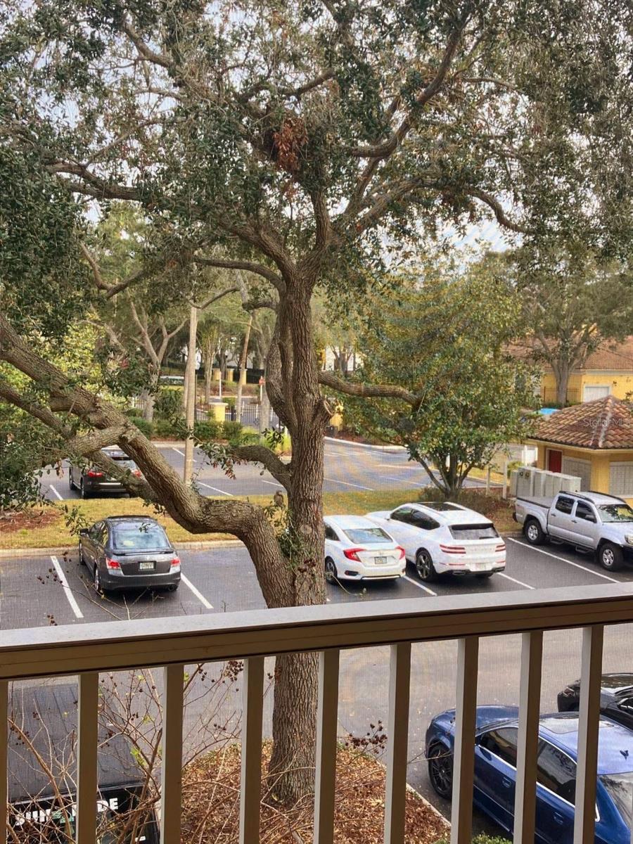 Image 17 of 24 For 1125 Lake Shadow Circle 5203