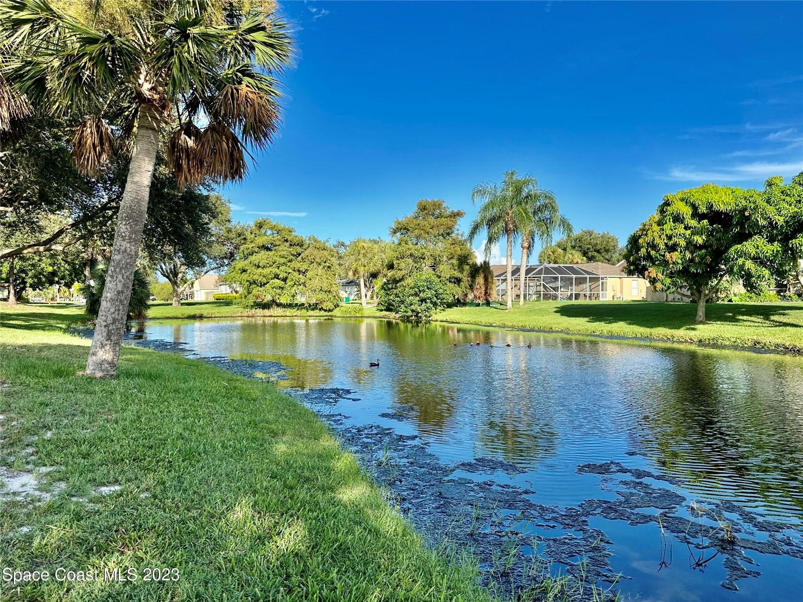 Image 64 of 66 For 1710 Crane Creek Boulevard