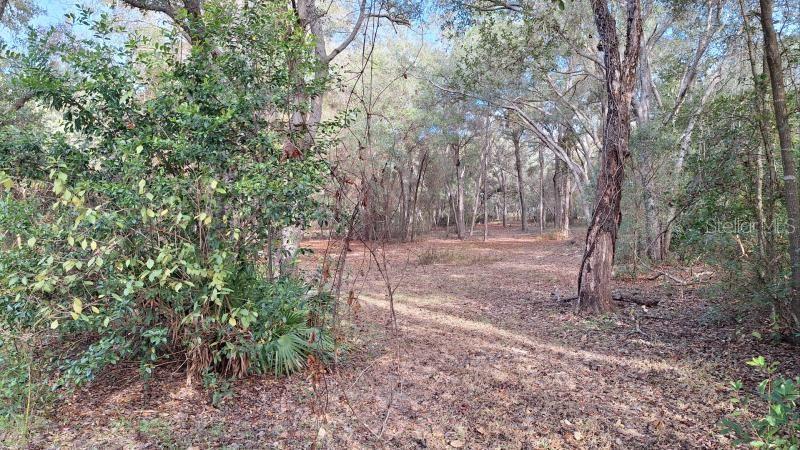 Image 27 of 31 For 1139 Mckinley Street