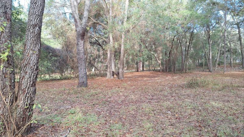 Image 28 of 31 For 1139 Mckinley Street