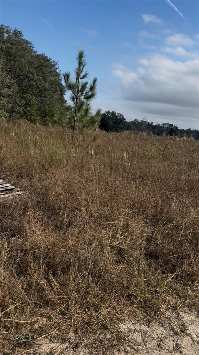 Image 8 of 9 For Lot 13.14 Sw 151st Ave