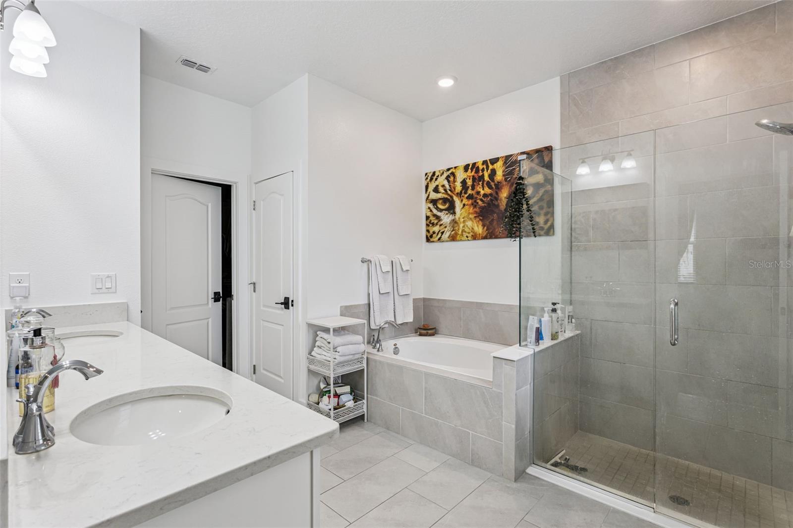 Image 17 of 32 For 219 Lugano Way