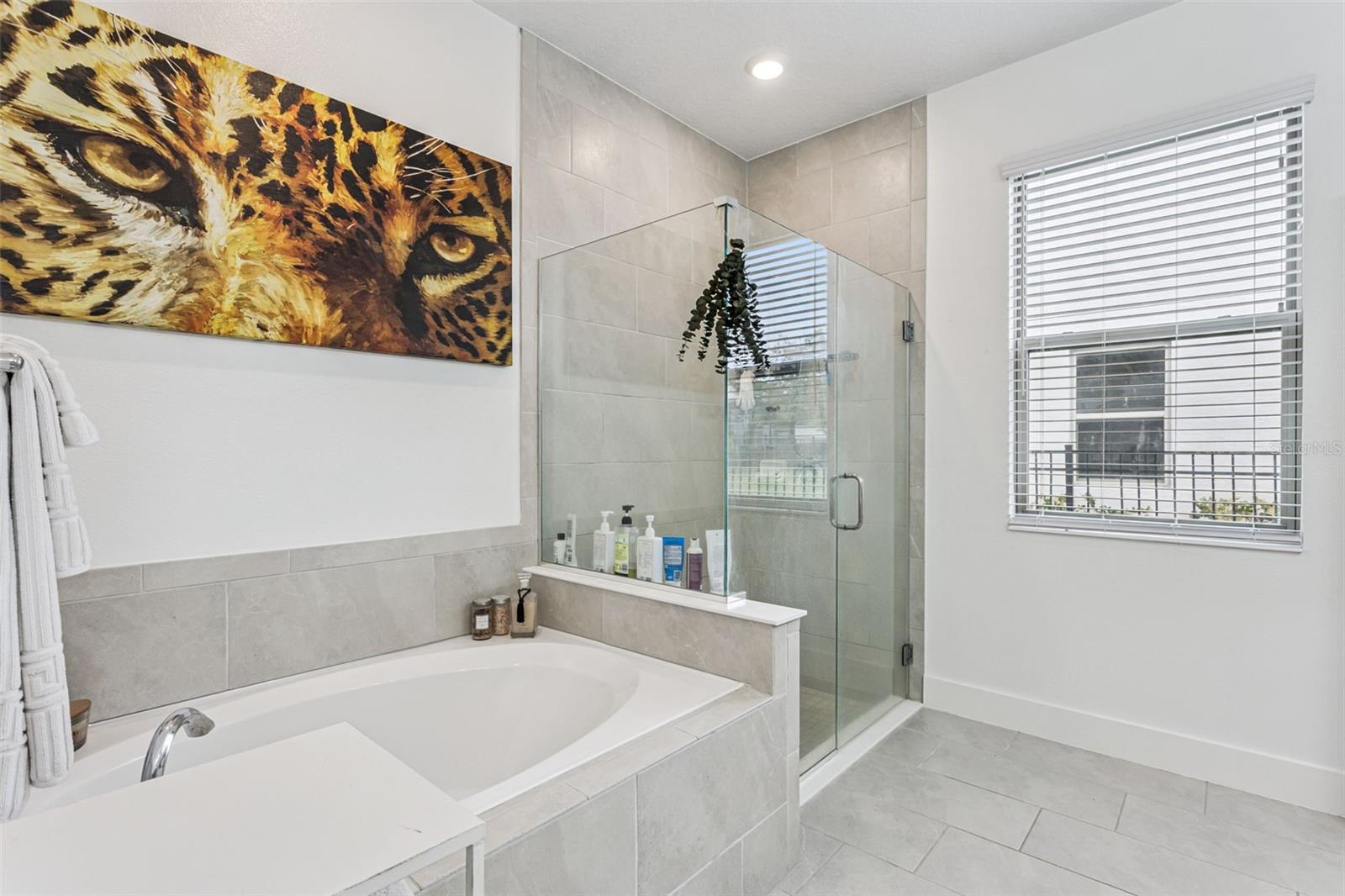 Image 18 of 32 For 219 Lugano Way