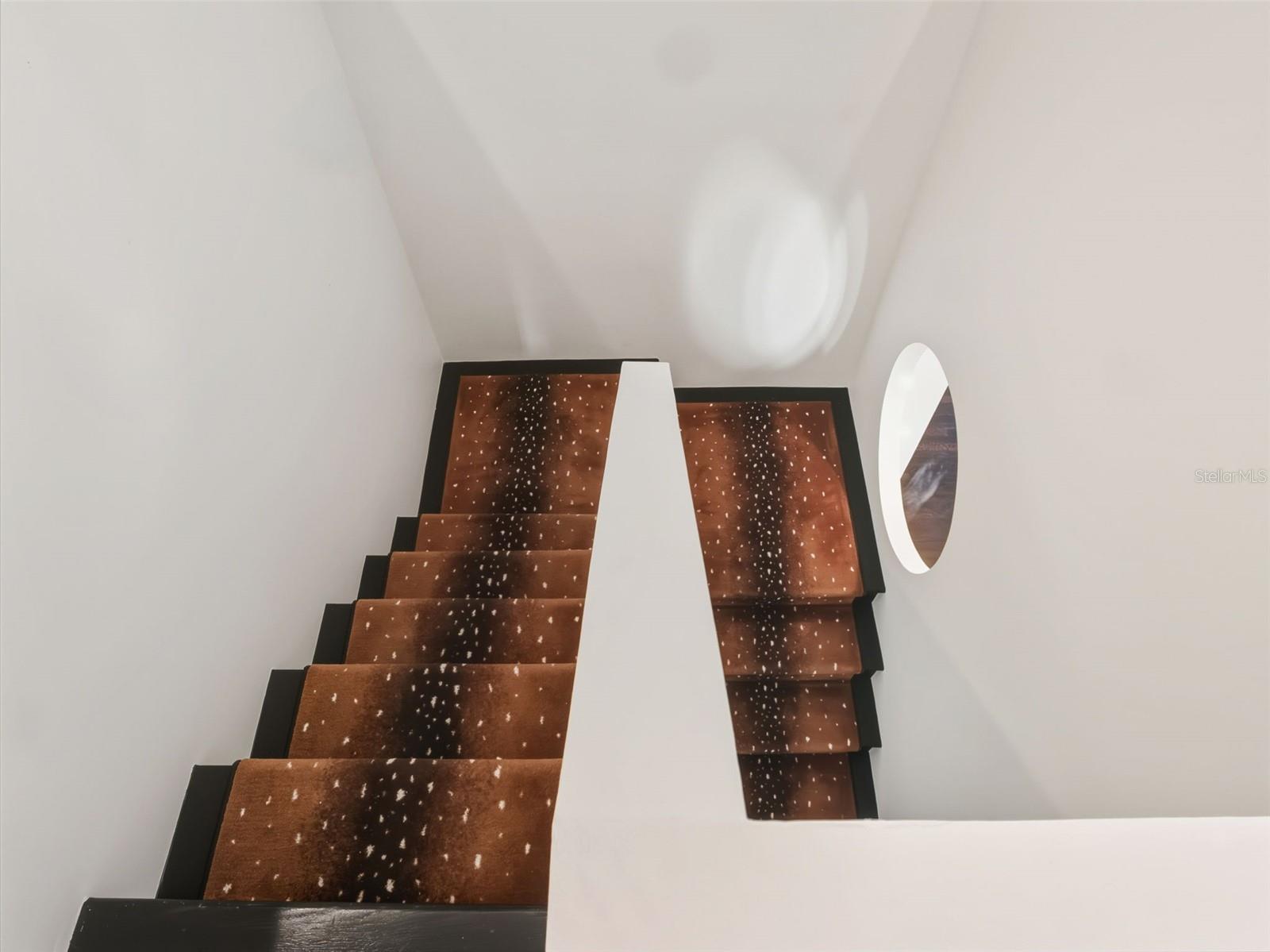 Image 19 of 53 For 1336 College Point