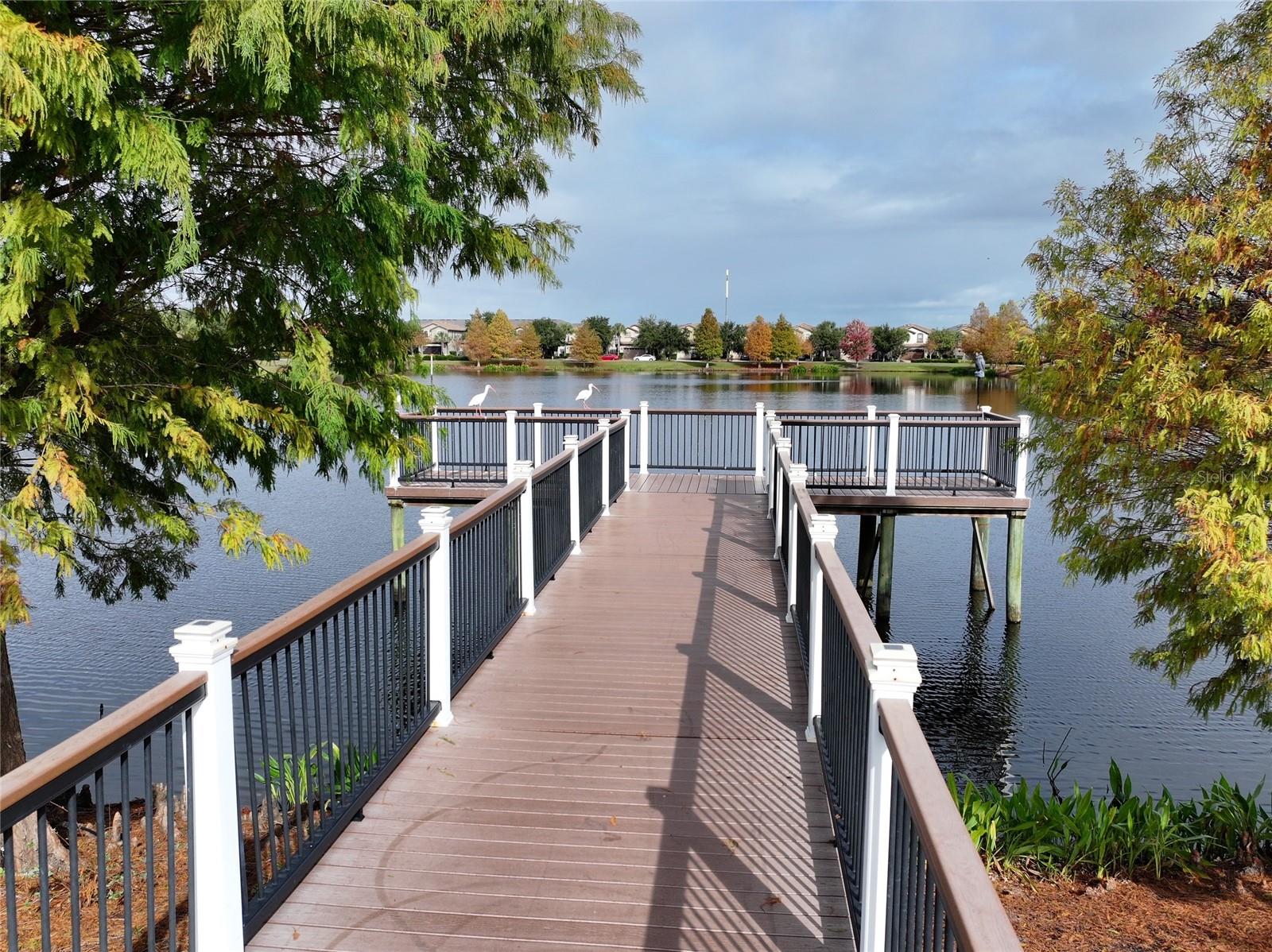 Image 30 of 40 For 9054 Rhodes Street