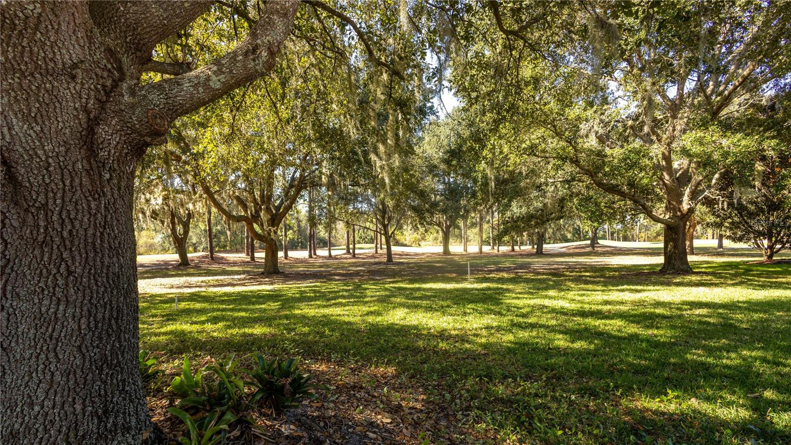 Image 29 of 31 For 25921 San Rafael Court