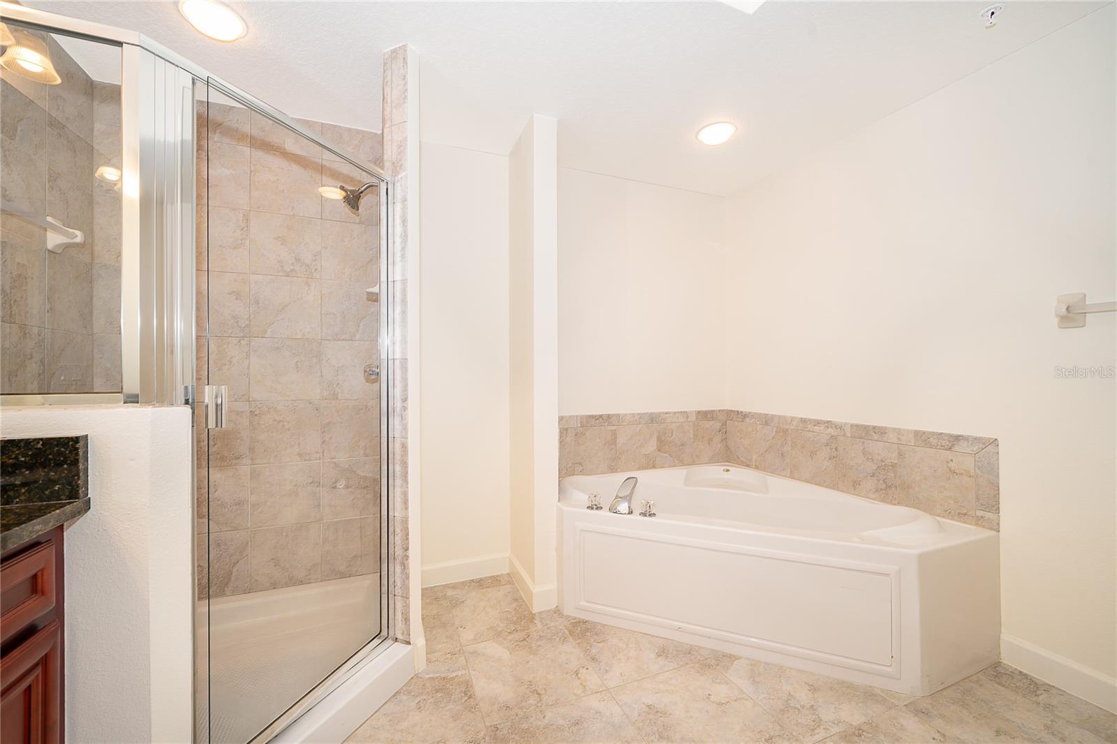 Image 17 of 36 For 4177 Orange Blossom Trail 510