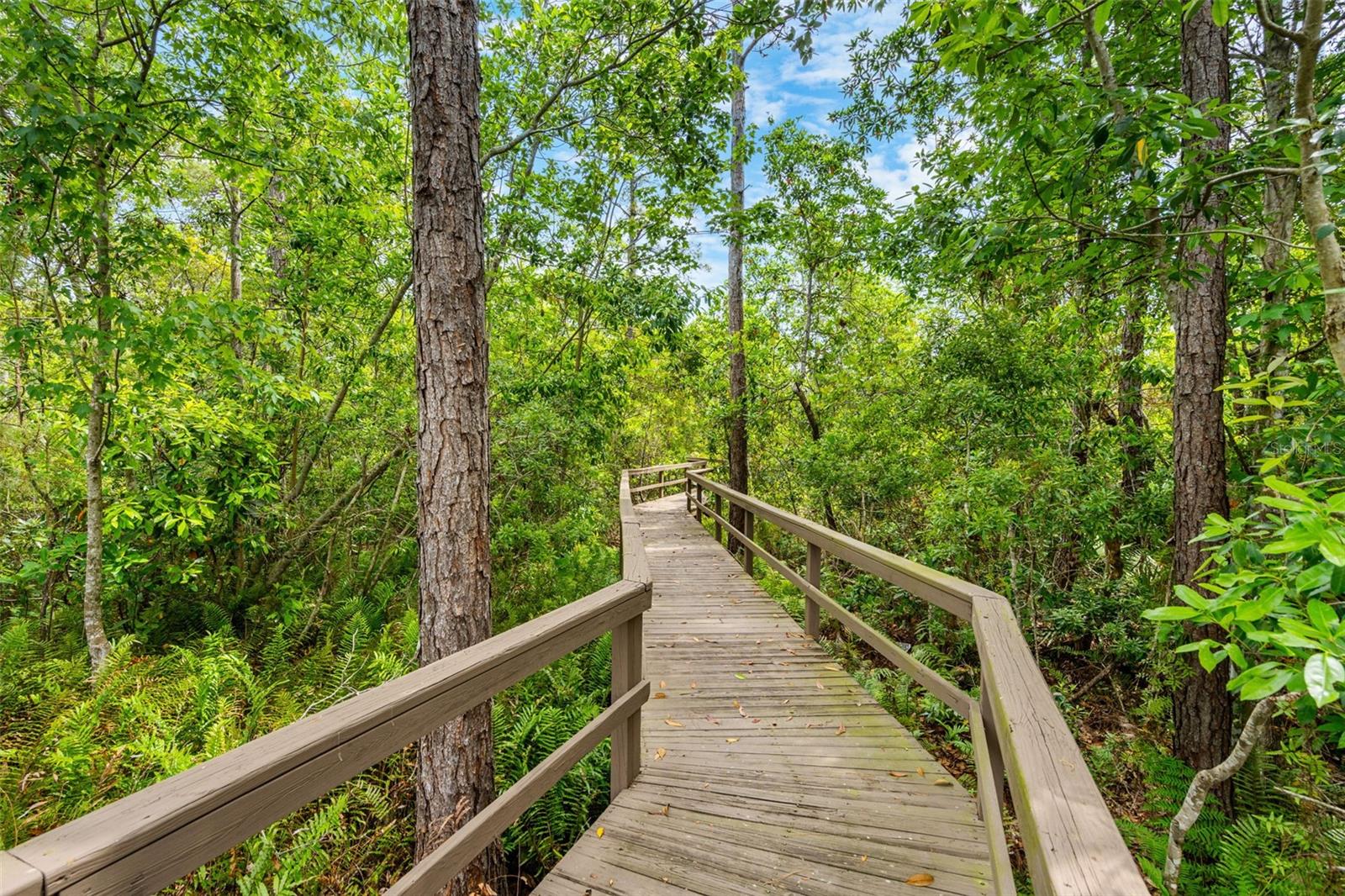 Image 61 of 79 For 555 Carey Way