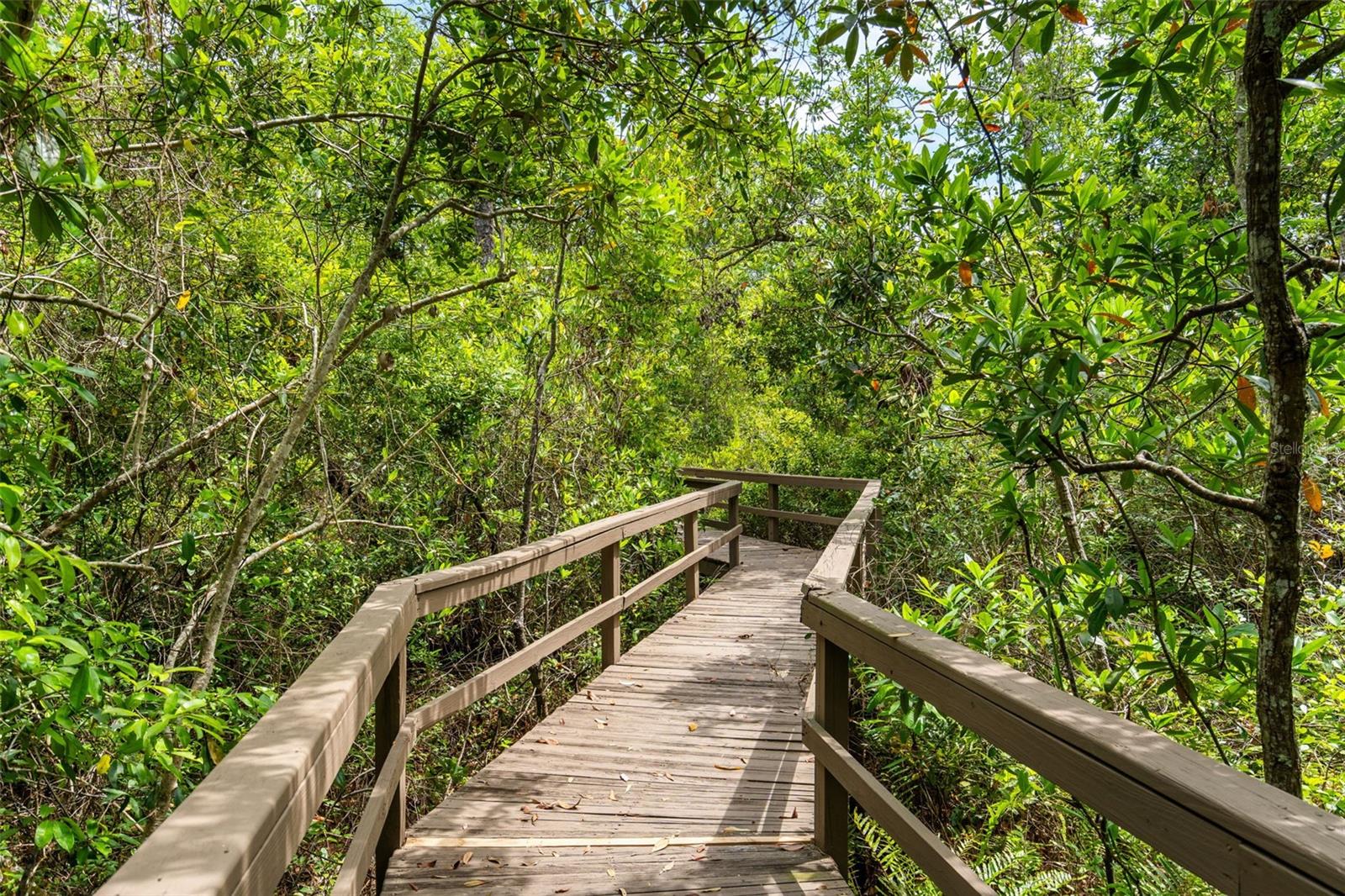 Image 62 of 79 For 555 Carey Way