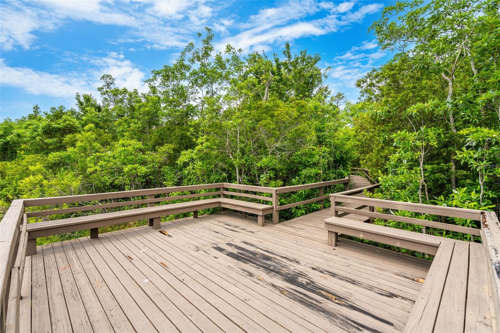 Image 63 of 79 For 555 Carey Way