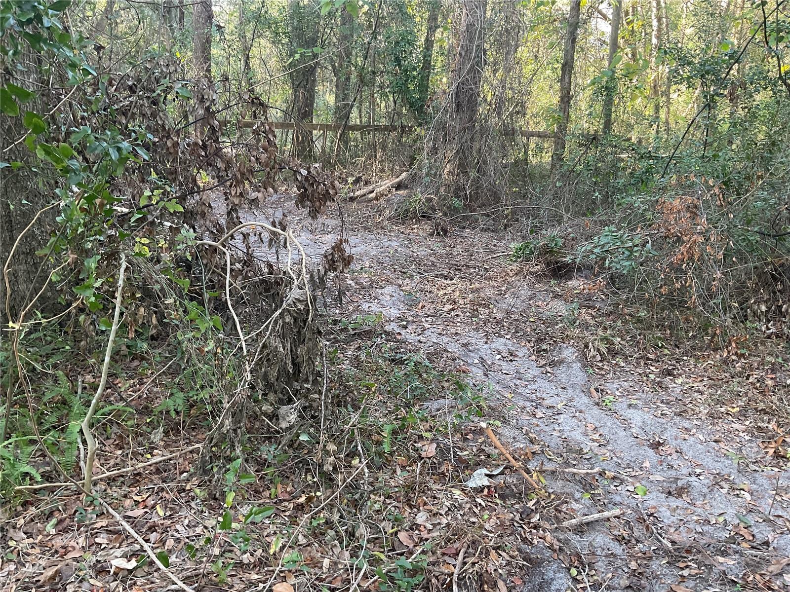 Image 10 of 14 For Tbd 64th Street