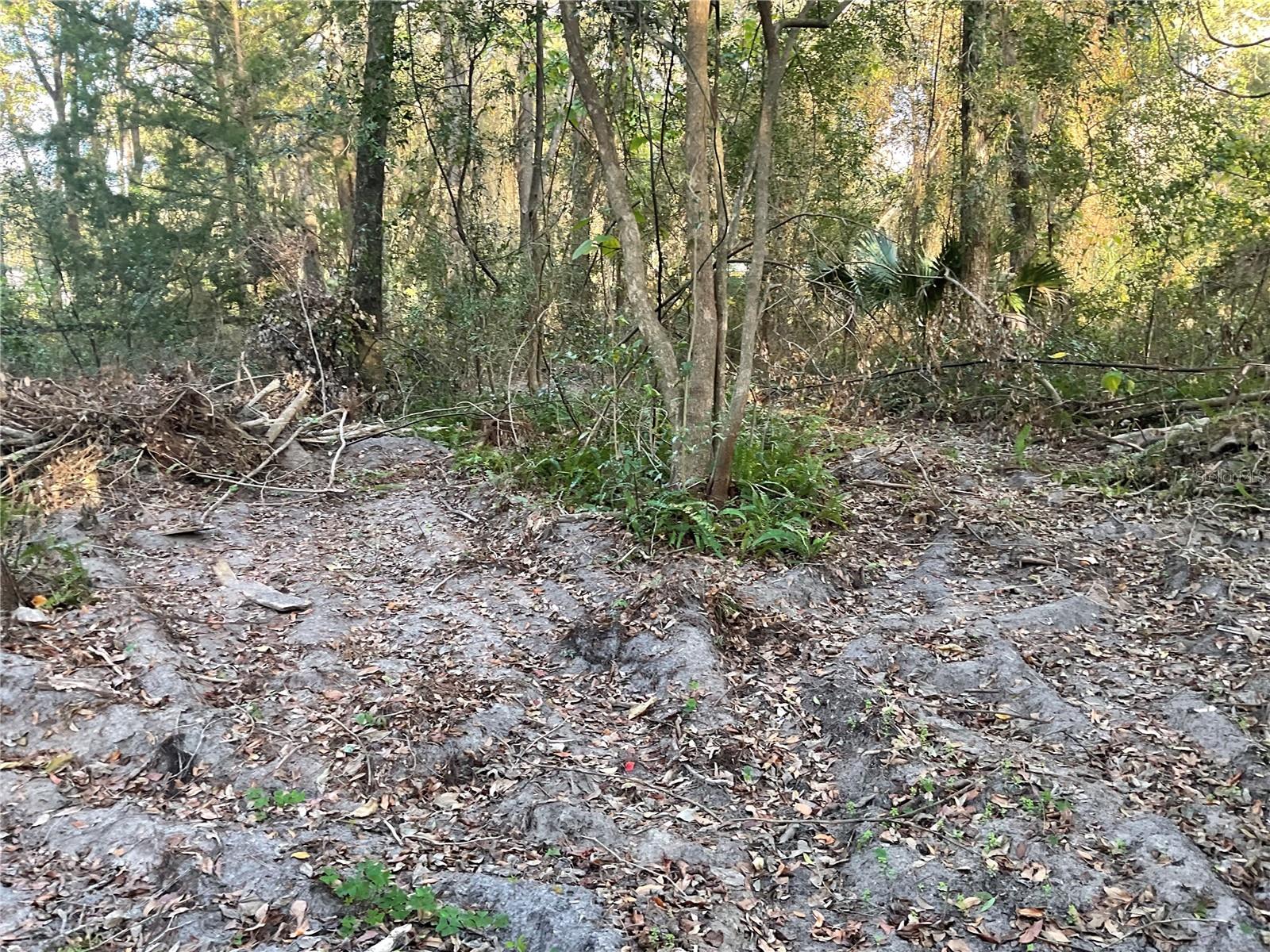 Image 11 of 14 For Tbd 64th Street