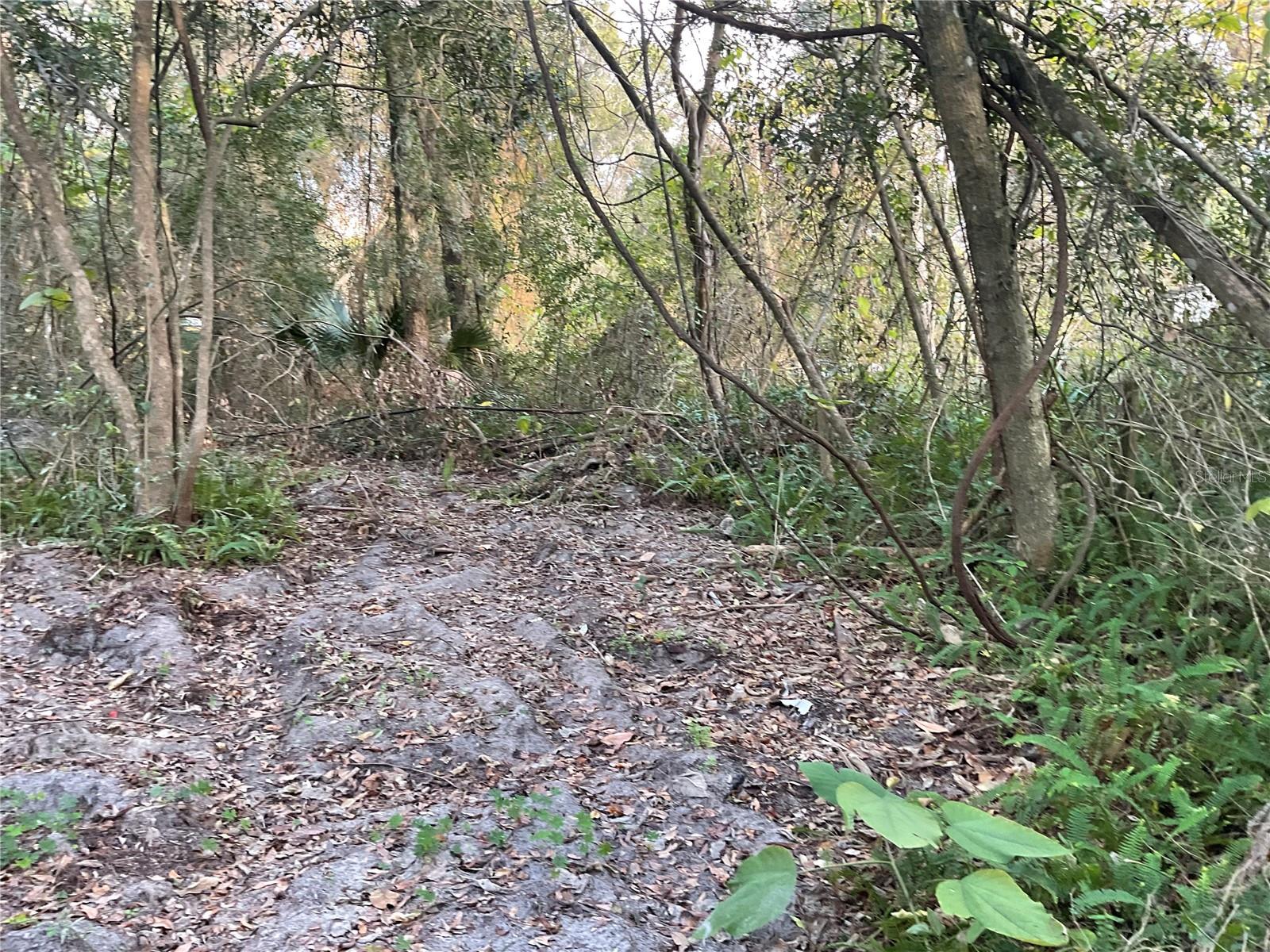 Image 12 of 14 For Tbd 64th Street