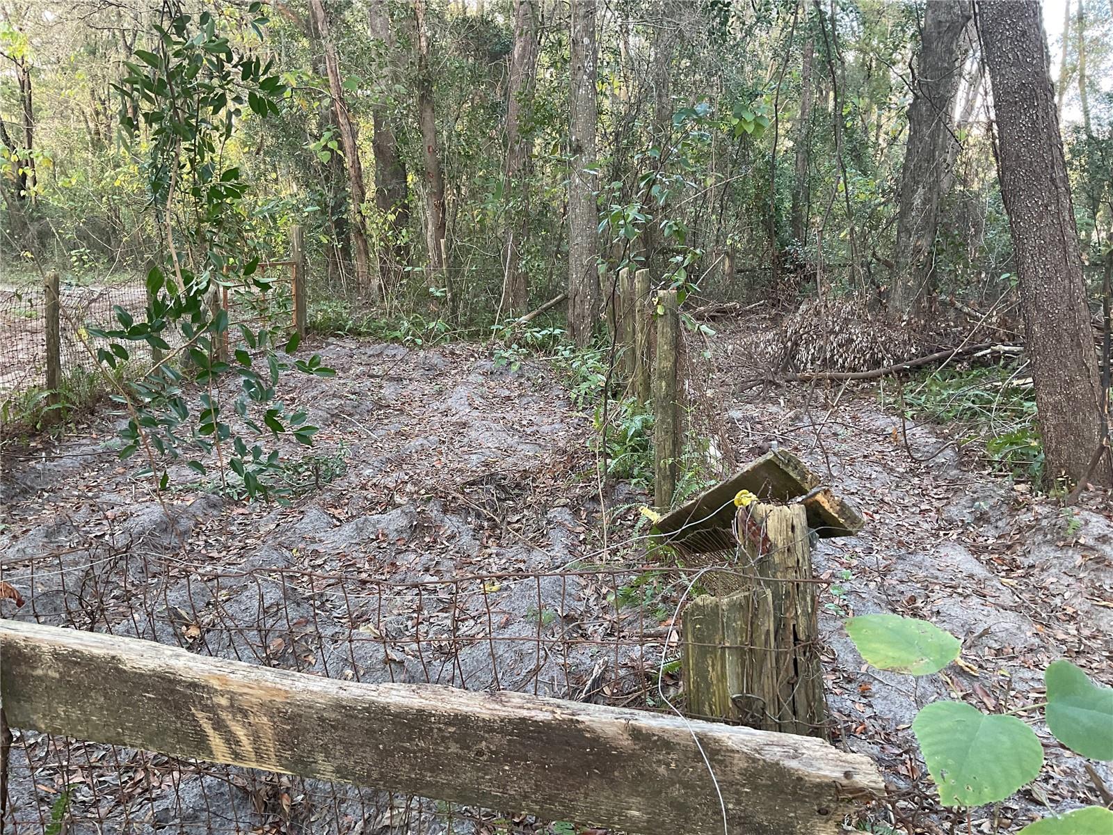 Image 13 of 14 For Tbd 64th Street