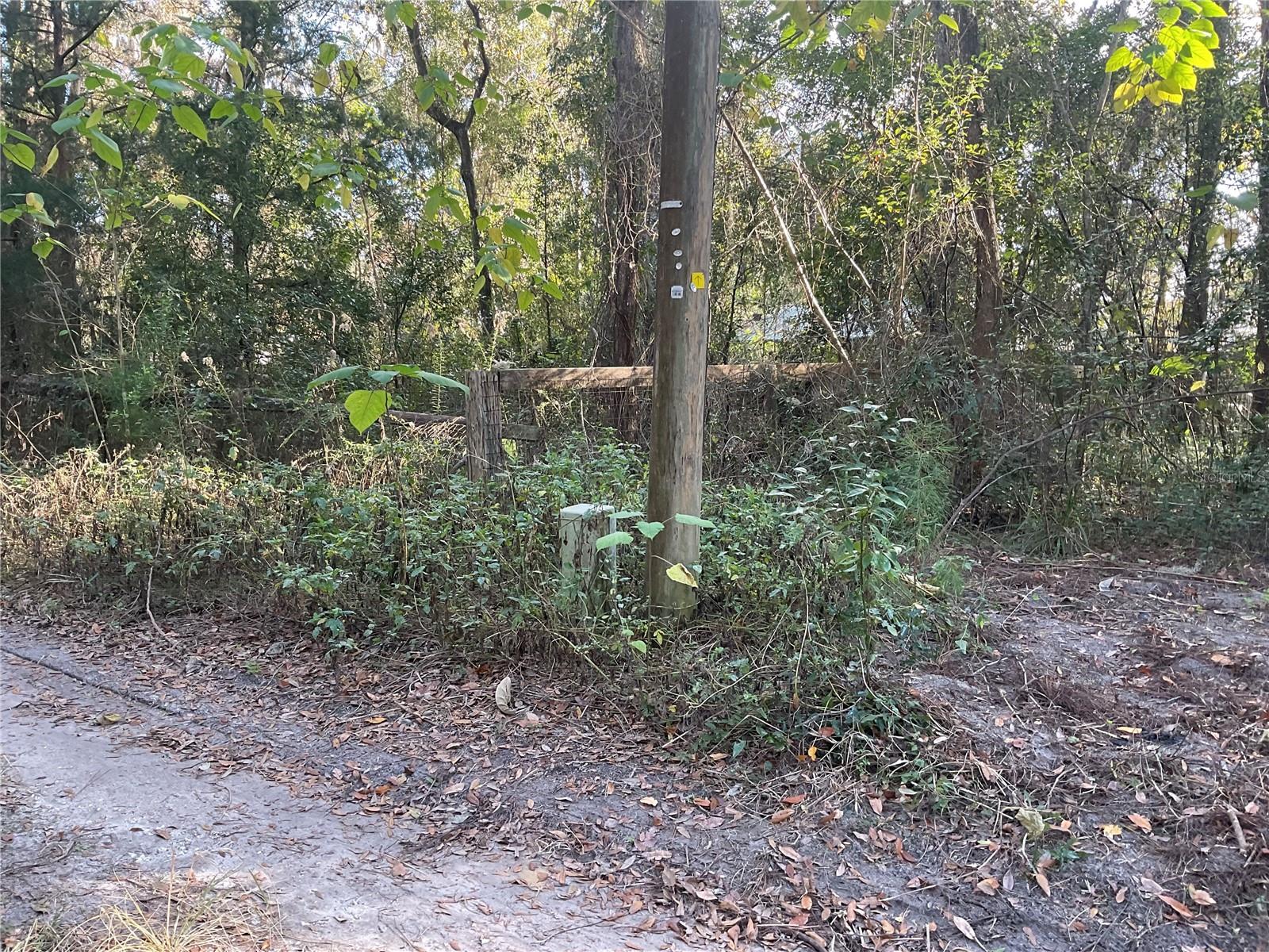 Image 2 of 14 For Tbd 64th Street