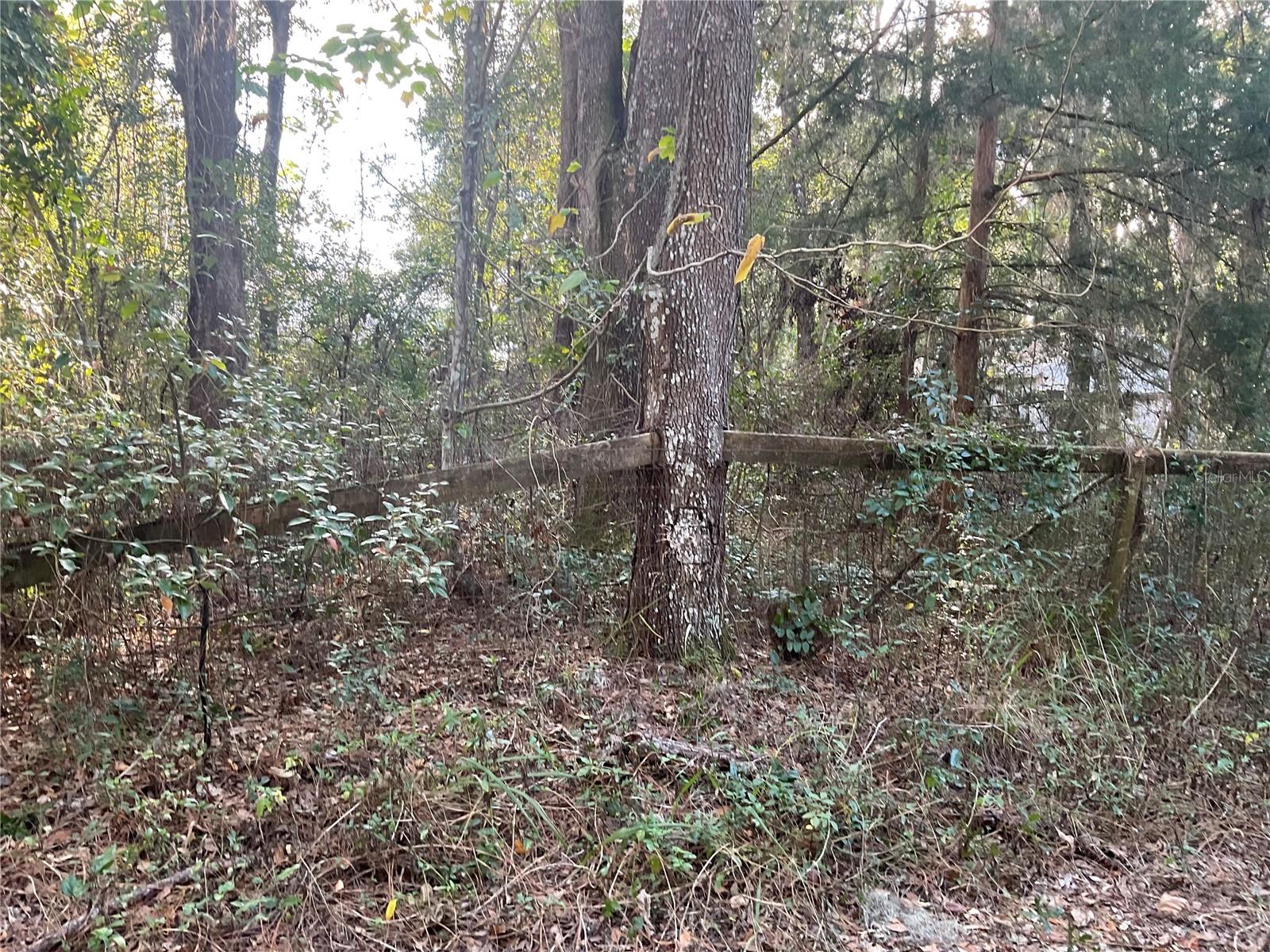 Image 3 of 14 For Tbd 64th Street