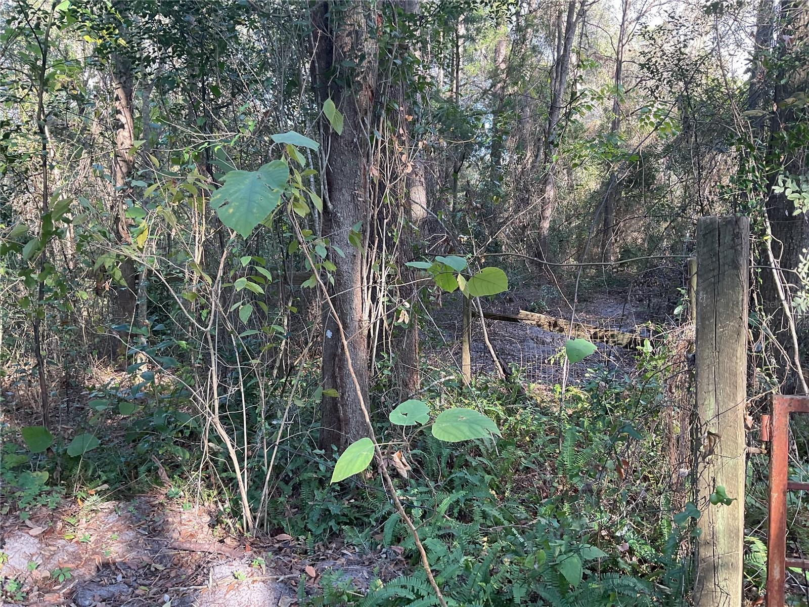 Image 5 of 14 For Tbd 64th Street