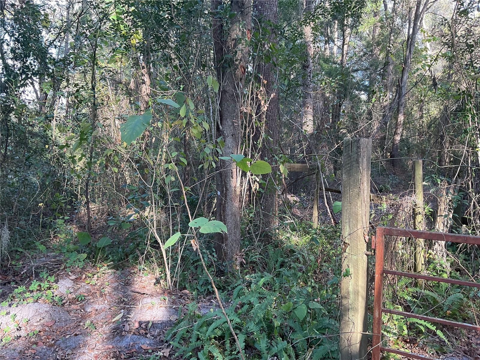 Image 6 of 14 For Tbd 64th Street