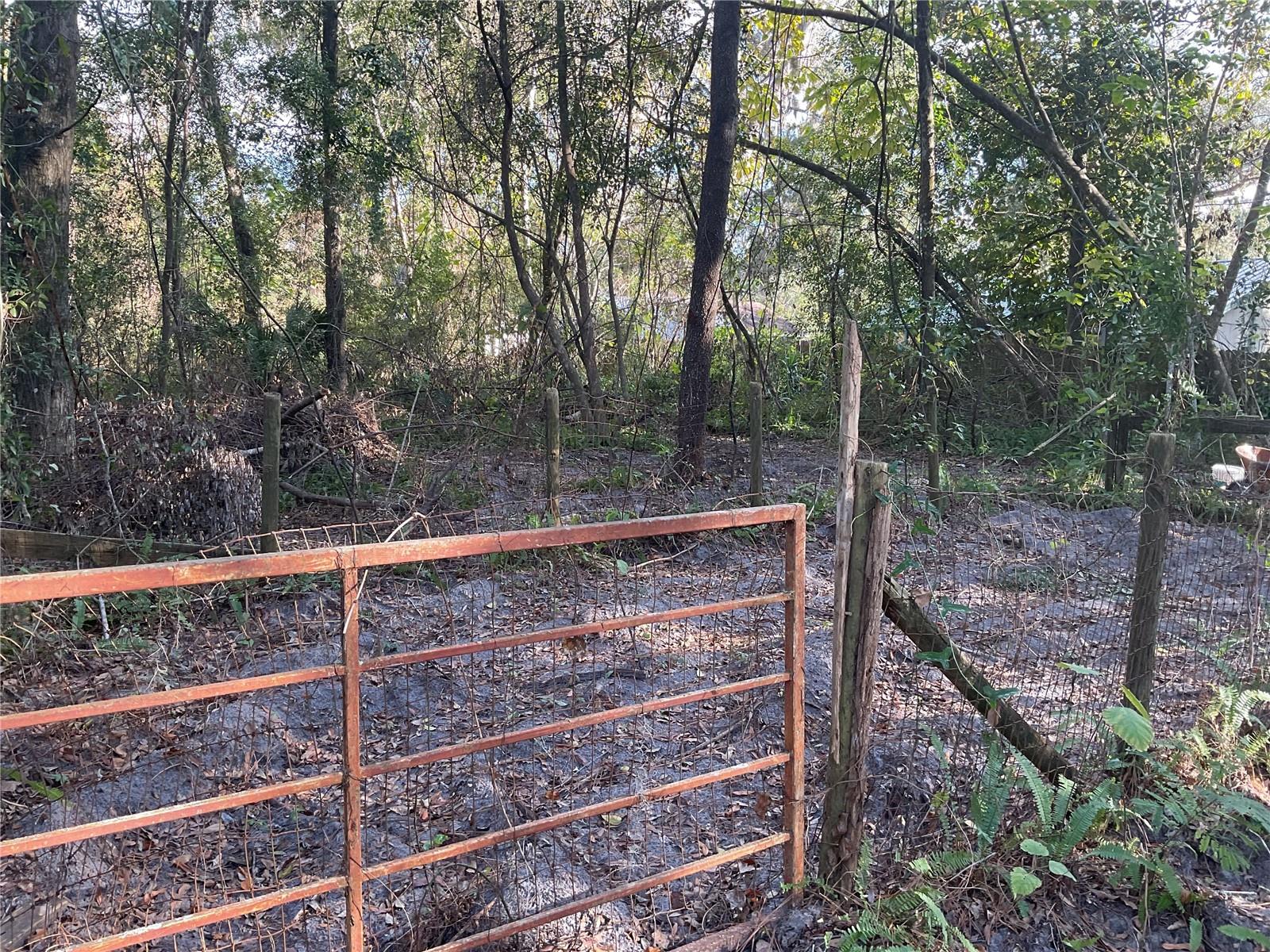 Image 7 of 14 For Tbd 64th Street