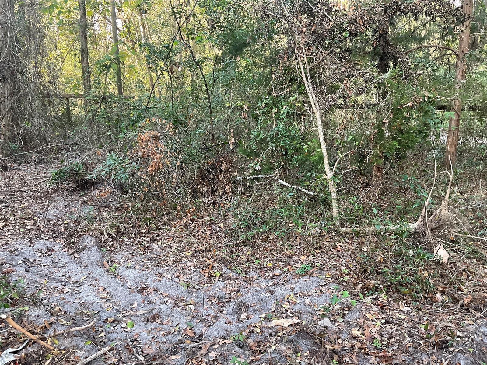 Image 8 of 14 For Tbd 64th Street