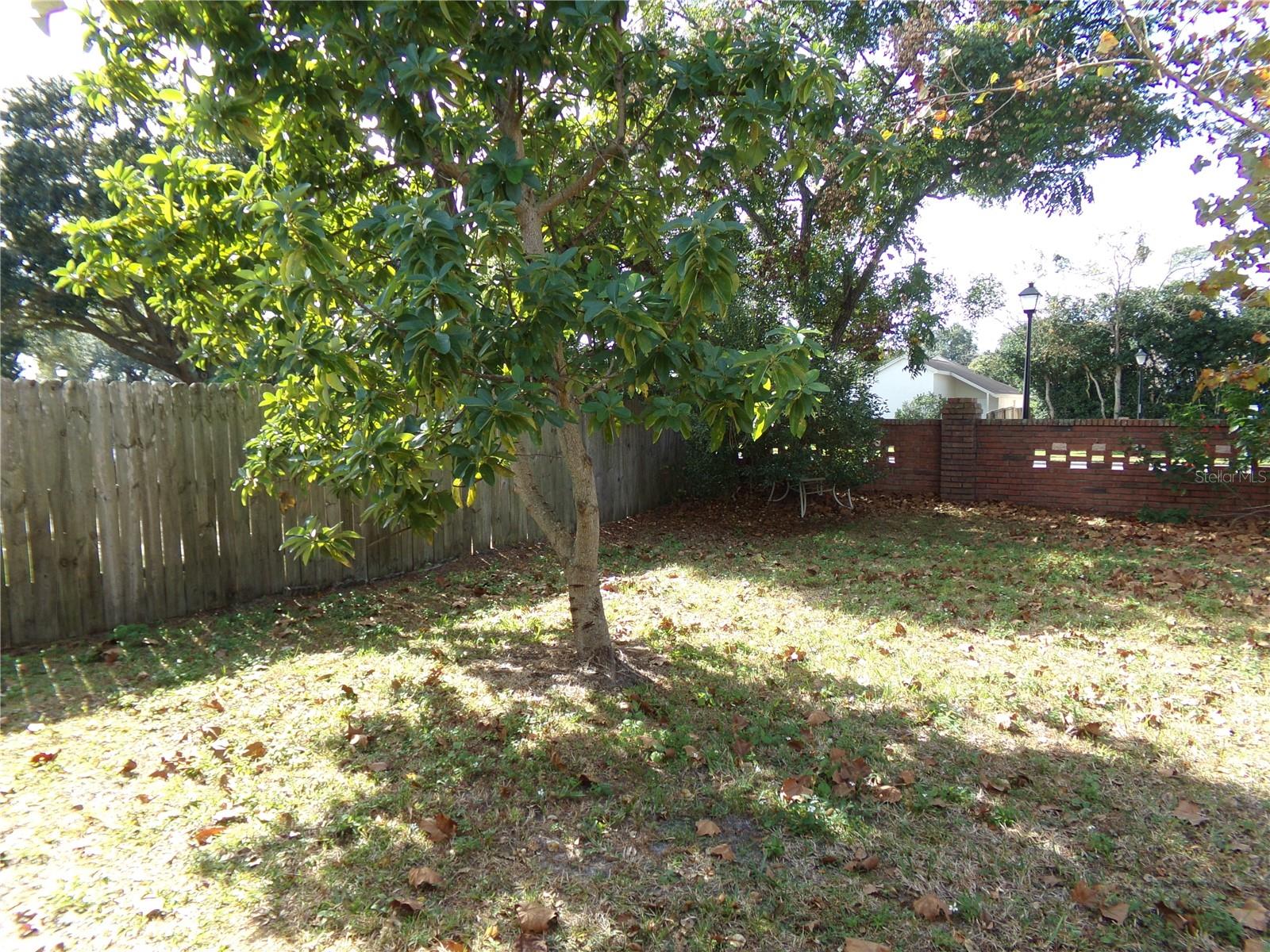 Image 28 of 31 For 1041 Kelsey Ave