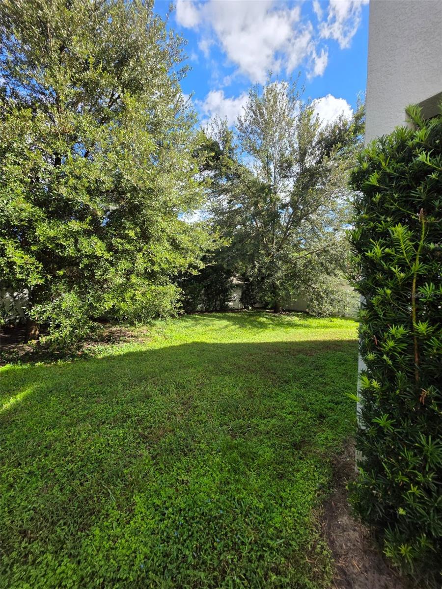 Image 16 of 16 For 1229 Muriel Street